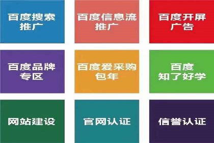短视频平台的SEM推广实践与效果